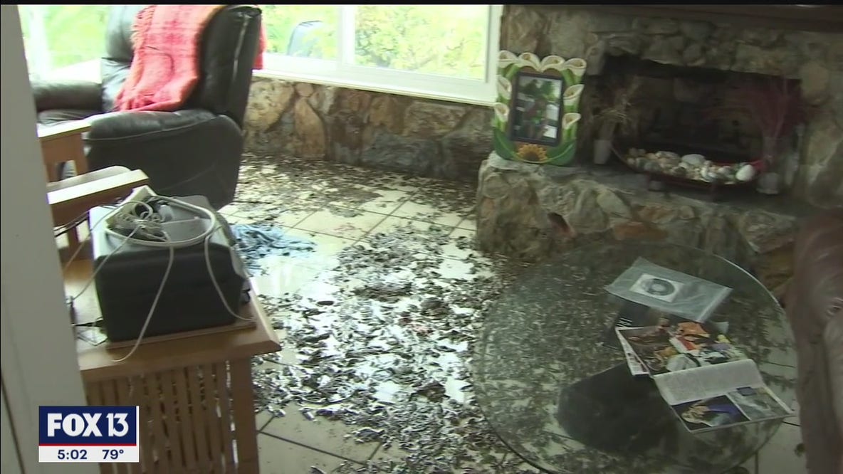 Cleanup underway after Eta floods Gulfport